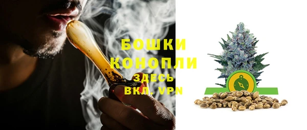 гашик Балахна