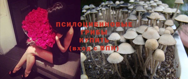 скорость Баксан