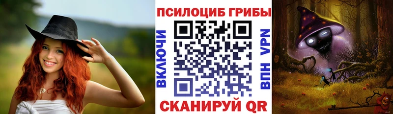 Псилоцибиновые грибы Psilocybine cubensis  мориарти Telegram  Баксан  МЕГА ТОР 