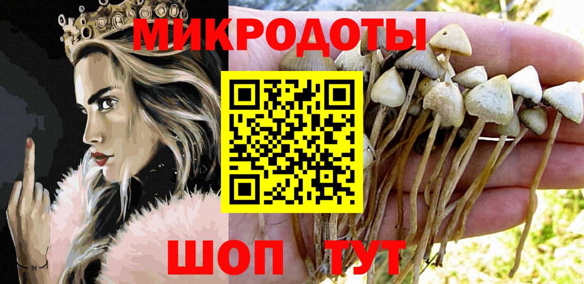 Галлюциногенные грибы Psilocybe  Вход с VPN  Псилоцибиновые грибы мухоморы  Баксан 
