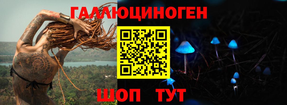 Галлюциногенные грибы Psilocybe  Баксан 